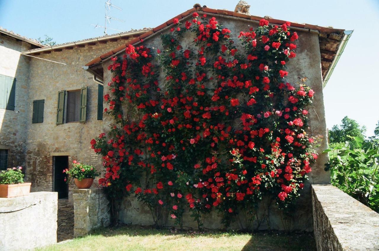 Bed and Breakfast La Corte Bonomini à Neviano degli Arduini Extérieur photo