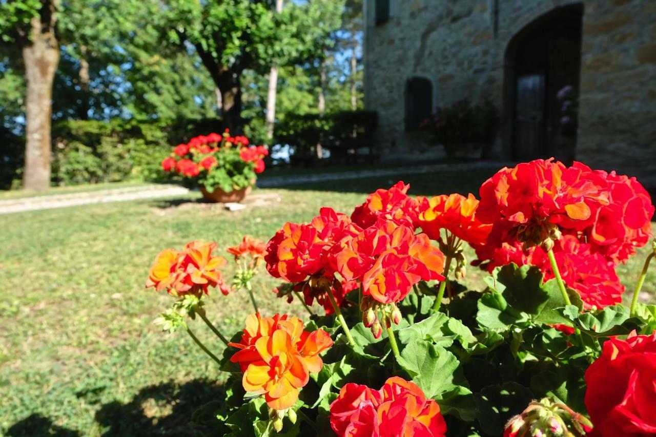 Bed and Breakfast La Corte Bonomini à Neviano degli Arduini Extérieur photo