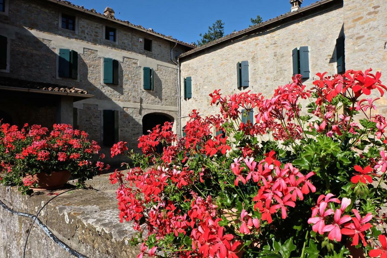 Bed and Breakfast La Corte Bonomini à Neviano degli Arduini Extérieur photo